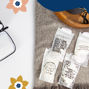 Vorstorganisator, Container, die Systeem opslaan, De borst gevend Toebehoren, BPA-Vrij, Dubbel Ritssluitingsslot 0