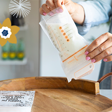 Vorstorganisator, Container, die Systeem opslaan, De borst gevend Toebehoren, BPA-Vrij, Dubbel Ritssluitingsslot 3