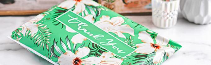 Postende & Verschepende Zakken - de Zelfverbinding, Enveloppen levert resealable Postzakken, rekupereerbaar, opnieuw te gebruiken, 6