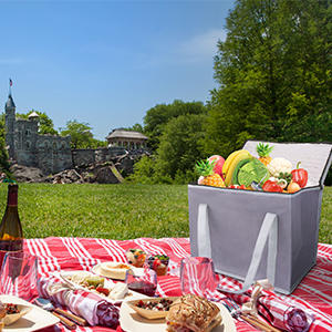 Doek van Oxford isoleerde Opnieuw te gebruiken Kruidenierswinkel het Winkelen Zakken, XL Grootte, Grote Picknick Koelere Zak, de Hoogste Koude van Zippered 11