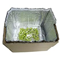 De aluminiumkoeler verzegelde Geïsoleerde Zak, Zak van de Handvat de Thermische Lunch, Hete Koude Zak, Vervoer, Behoud 8