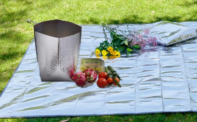 De aluminiumkoeler verzegelde Geïsoleerde Zak, Zak van de Handvat de Thermische Lunch, Hete Koude Zak, Vervoer, Behoud 10