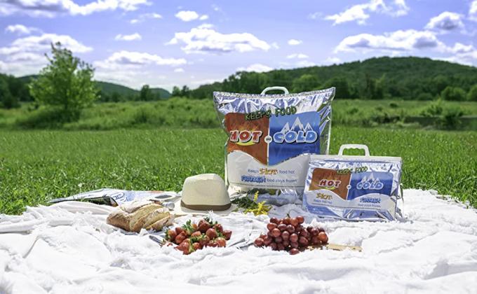 voedsel gehouden koude in hete en koude zak bij picknick