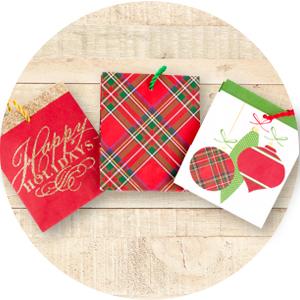 DE GIFTcanlendar ZAKKEN, VAKANTIEzakken, KERSTMISkerstman, JUMBOfiets, BLAD, BEHANDELEN, HALLOWEEN, PASEN, VALENTIN 10