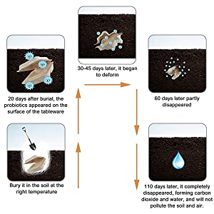 Composteerbare Clamshell neemt Voedselcontainers, Natuurlijke Beschikbare Milieuvriendelijke Bagasse, Sugar Cane Fibers 3