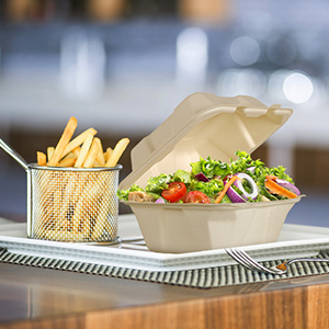 Composteerbare Clamshell neemt Voedselcontainers, Natuurlijke Beschikbare Milieuvriendelijke Bagasse, Sugar Cane Fibers 6