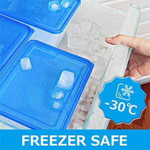 Opnieuw te gebruiken de Opslagcontainers van het Diepvriezervoedsel met Deksels, Reeksen Bento Box BPA Vrije Microwaveable van de Maaltijd Prep Container 1