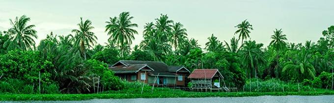 PLA-het Drinken het Stro, het Reuze Verpakte Stro van CPLA, individueel, Installatie baseerde Composteerbaar Flexi-stro, cocktail 9