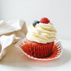 De biologisch afbreekbare Zakken van Gebakjeleidingen, Cake die Zakken verfraaien, Bakkend de Leveringsuitrustingen van het Koekjessuikergoed, Bevriezende Zakken 16