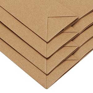 Kleinhandelszak met Kabelhandvat, het Metalliseren, Bedrijfszakken, Ambachtzakken, Partijzakken, Rekupereerbare Zakken 2