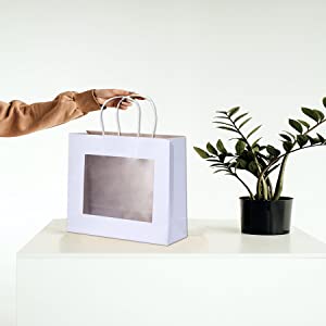 Kleinhandelszak met Kabelhandvat, het Metalliseren, Bedrijfszakken, Ambachtzakken, Partijzakken, Rekupereerbare Zakken 10