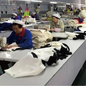 Hoogste Ritssluitingssluiting. ORGANISCH, OPNIEUW TE GEBRUIKEN, WASBAAR, CANVAS het Winkelen Zakken met Handvatten, de Totalisator van de Doekkruidenierswinkel 4