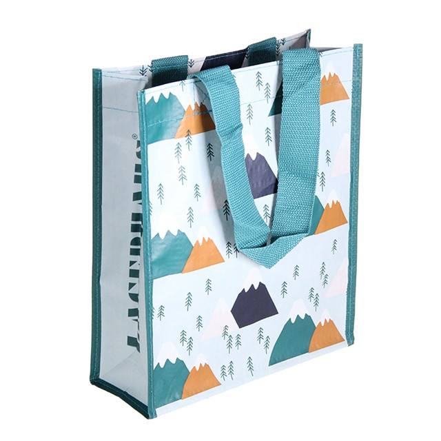 Lamineerde de Eco Vriendschappelijke stof Handvat, Pp Geweven Tote Bag, RPET Met een laag bedekte Vouwbare Rekupereerbare het Winkelen handige Zakken 6