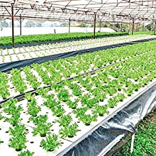 geperforeerde grondfilm, de film van de Dampbarrière, Serrefilm, Landbouwpanda film, Weerspiegelende Maylar-Film 13