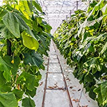 geperforeerde grondfilm, de film van de Dampbarrière, Serrefilm, Landbouwpanda film, Weerspiegelende Maylar-Film 12