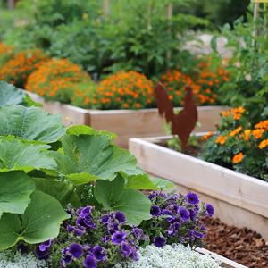 landschapsstof, onkruidbarrière, ecogardener, ecogardener landschapsstof