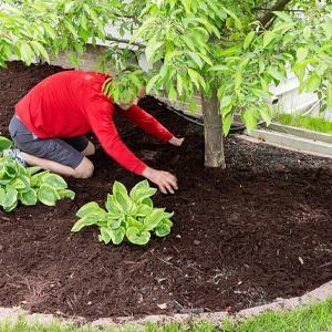 landschapsstof, onkruidbarrière, ecogardener, ecogardener landschapsstof