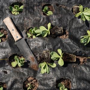 landschapsstof, onkruidbarrière, ecogardener, ecogardener landschapsstof